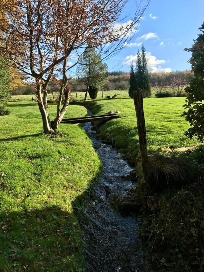 Lovely Meadow House In The Land Of Croix Scaille ガディンヌ エクステリア 写真