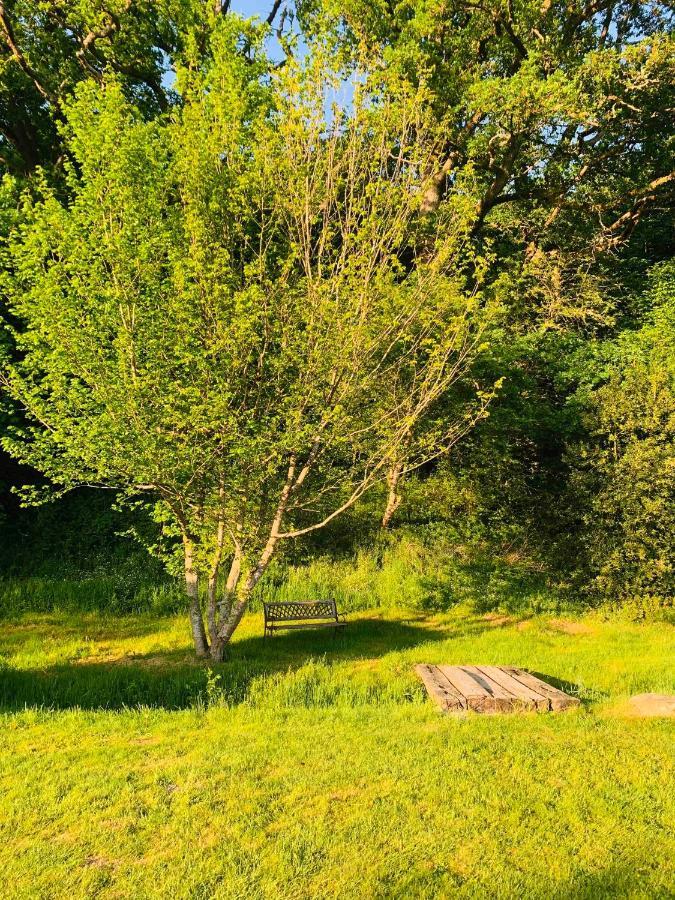 Lovely Meadow House In The Land Of Croix Scaille ガディンヌ エクステリア 写真